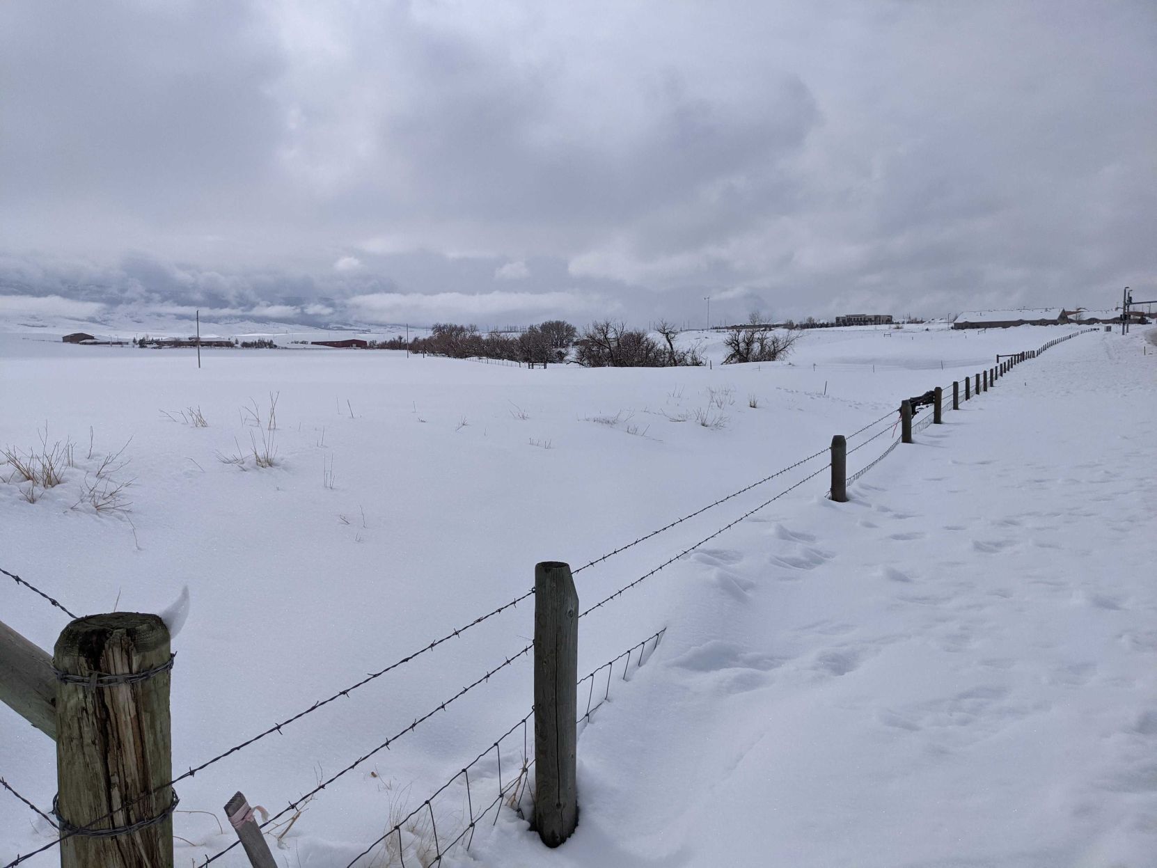 Snowstorm